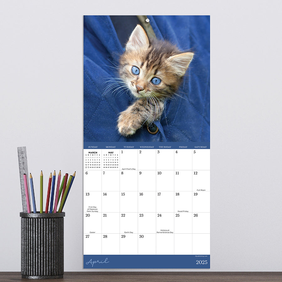**FINAL SALE** 2025 Kittens Mini Calendar