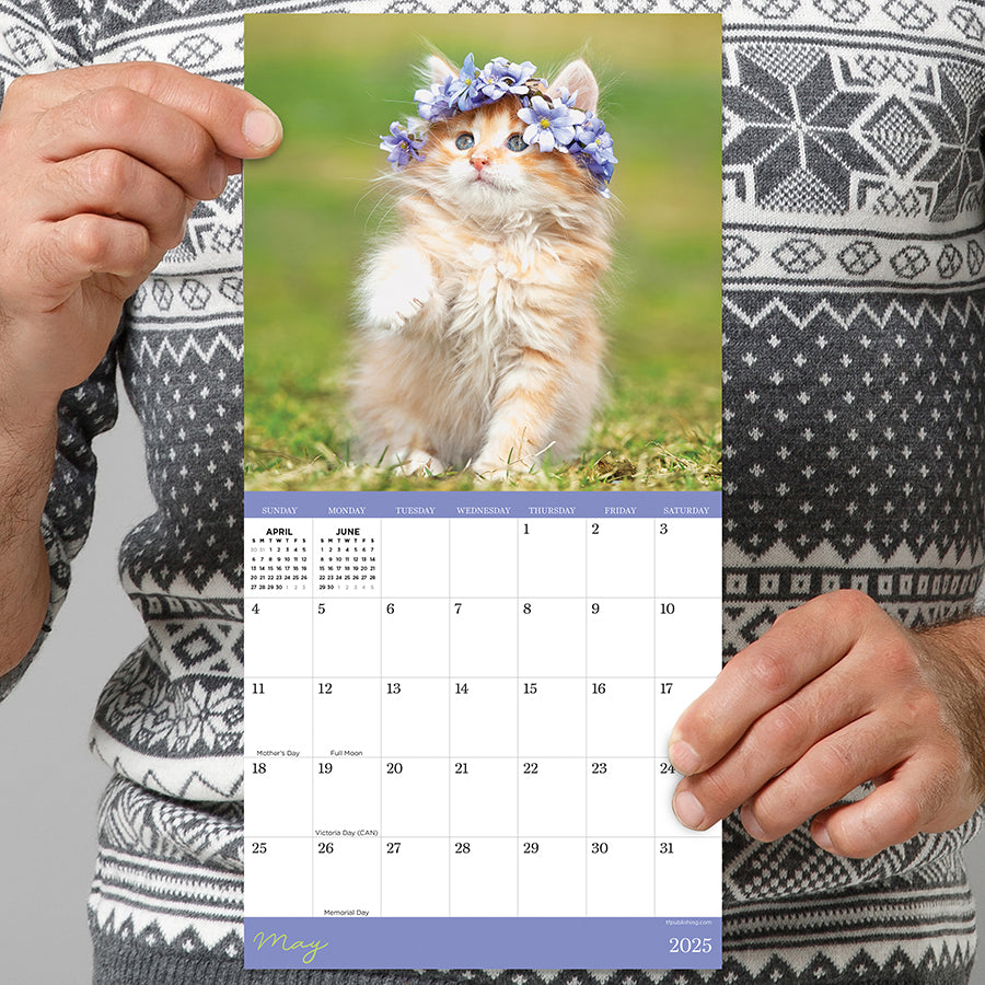**FINAL SALE** 2025 Kittens Mini Calendar