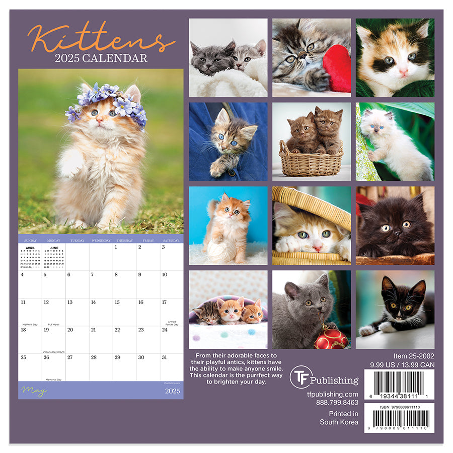 **FINAL SALE** 2025 Kittens Mini Calendar