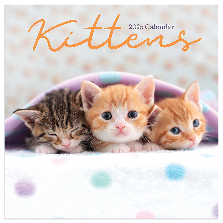 **FINAL SALE** 2025 Kittens Mini Calendar
