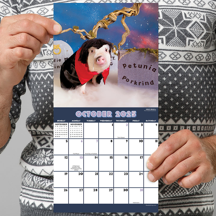 2025 Playful Pigs Mini Calendar TF Publishing Calendars + Planners