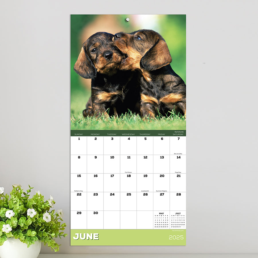 2025 Puppies Mini Calendar TF Publishing Calendars + Planners