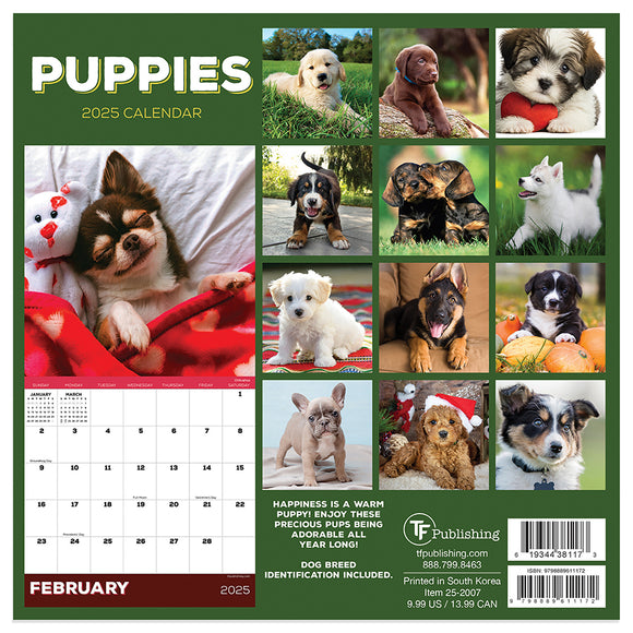 2025 Puppies Mini Calendar TF Publishing Calendars + Planners Cute Puppies Calendar 2025