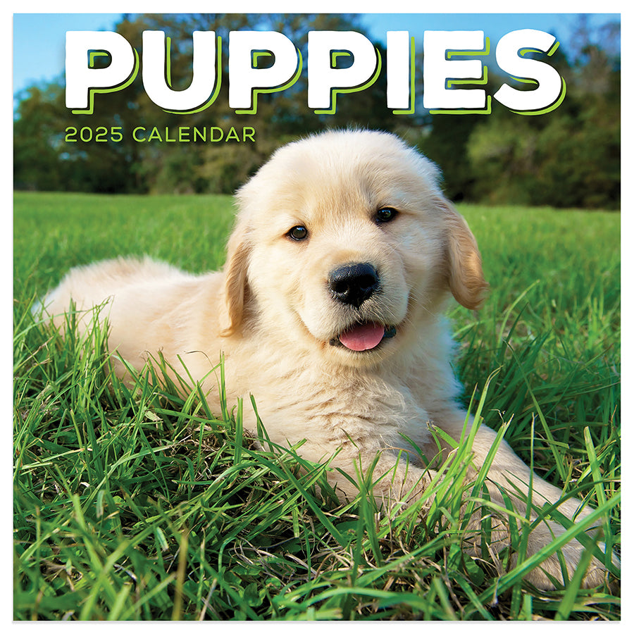 2025 Puppies Mini Calendar TF Publishing Calendars + Planners