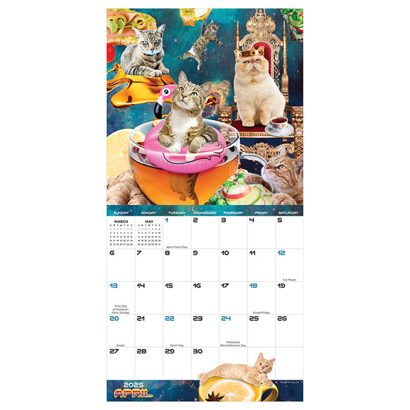 2025 Space Cats Mini Calendar TF Publishing Calendars + Planners
