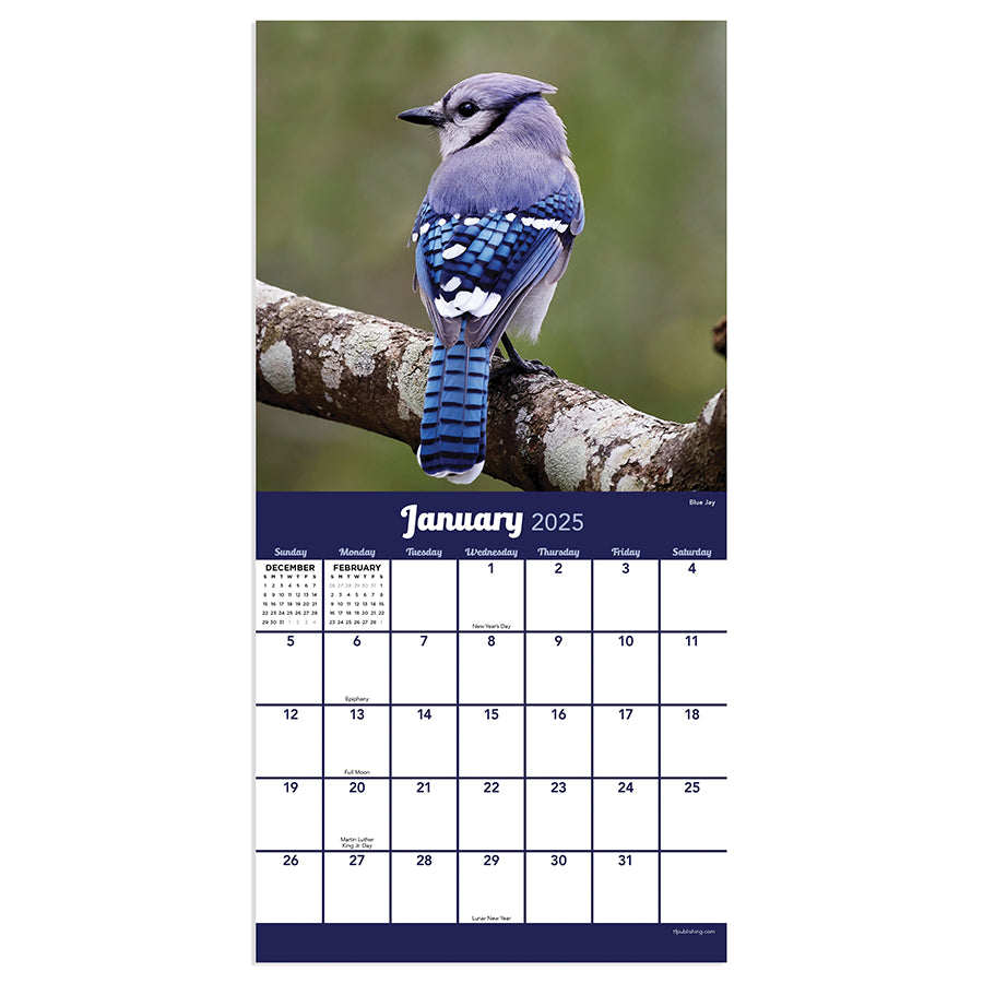 **FINAL SALE** 2025 Backyard Birds Mini Calendar - 0