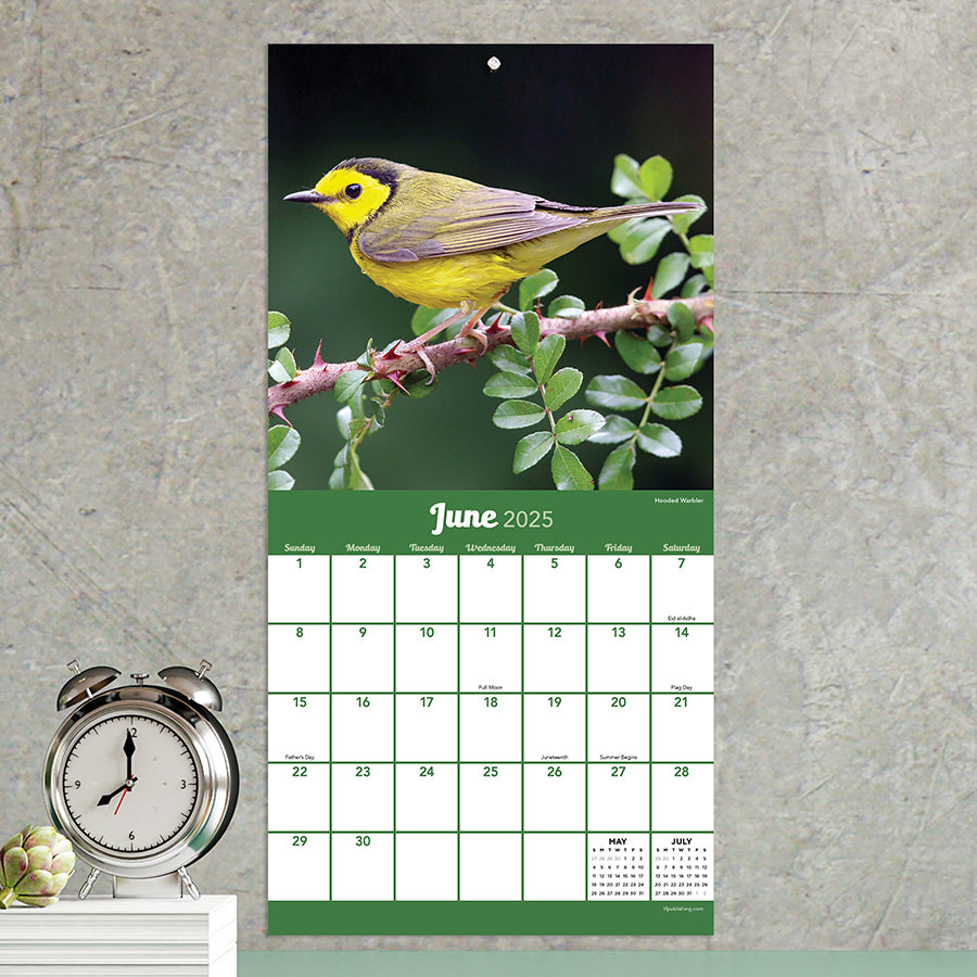 **FINAL SALE** 2025 Backyard Birds Mini Calendar TF Publishing Calendars + Planners