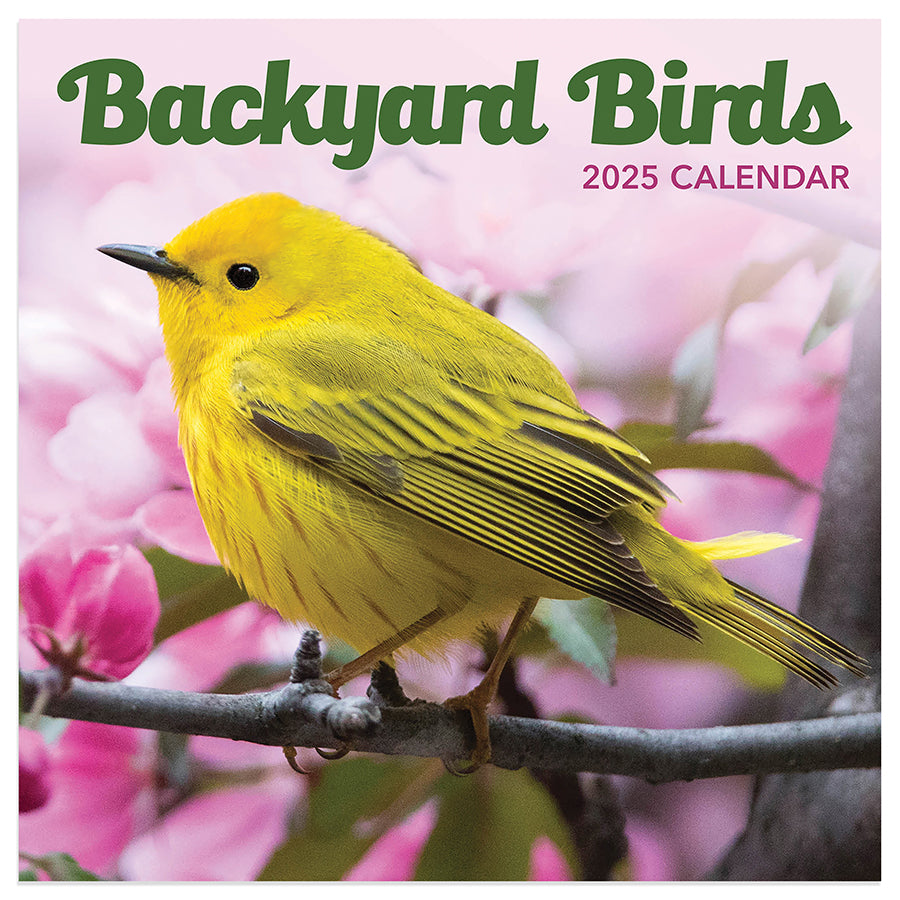 **FINAL SALE** 2025 Backyard Birds Mini Calendar