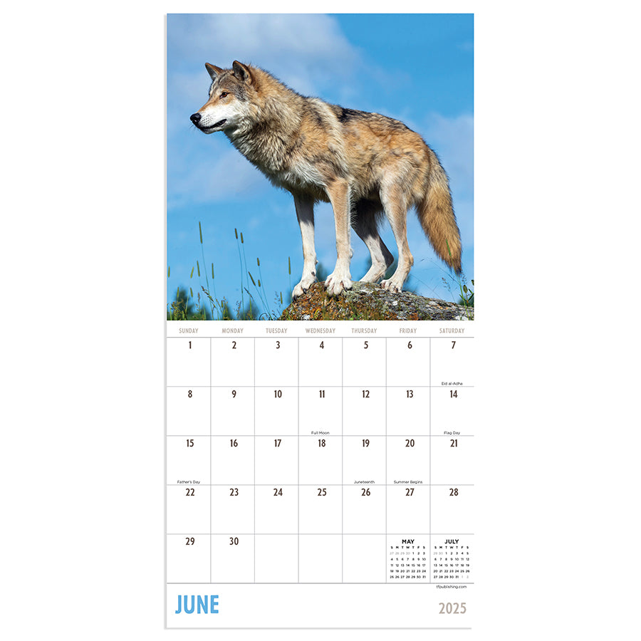 **FINAL SALE** 2025 Wolves Mini Calendar