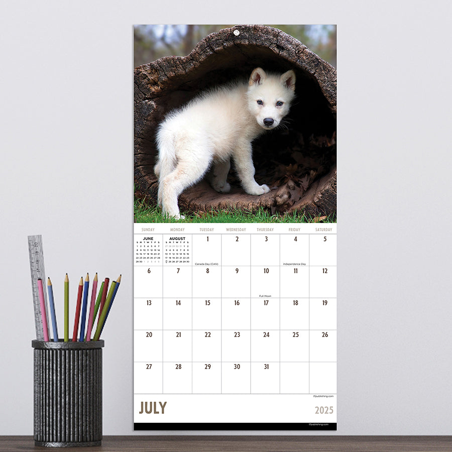 **FINAL SALE** 2025 Wolves Mini Calendar