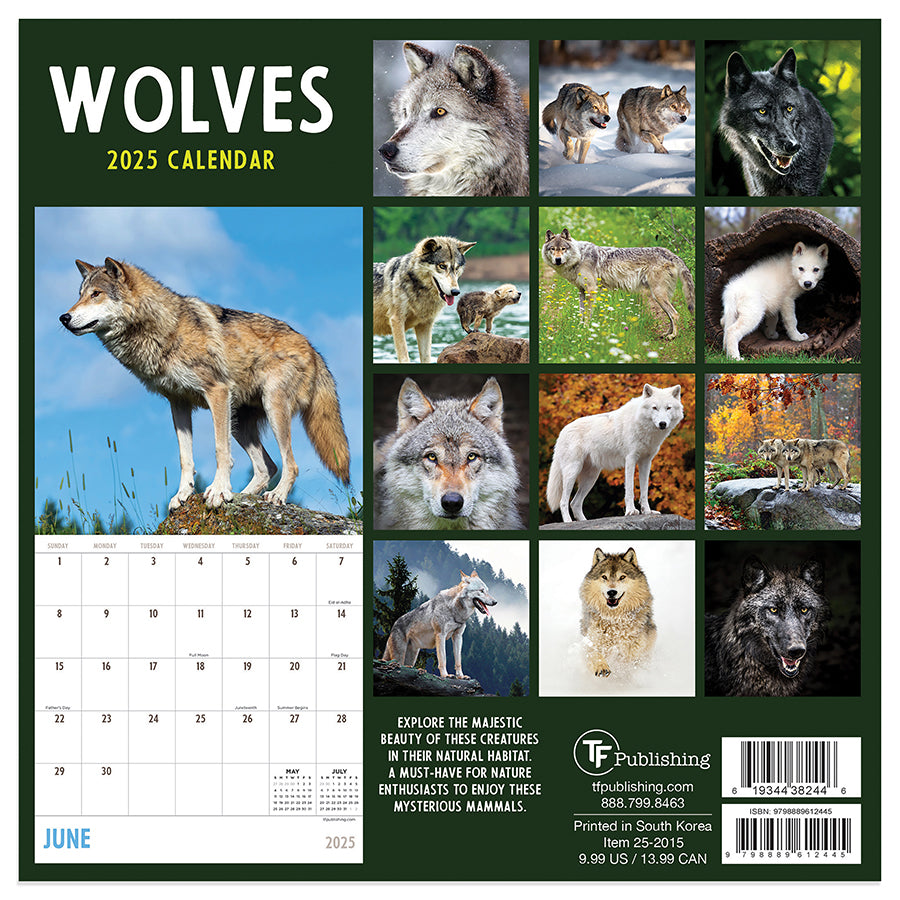 **FINAL SALE** 2025 Wolves Mini Calendar