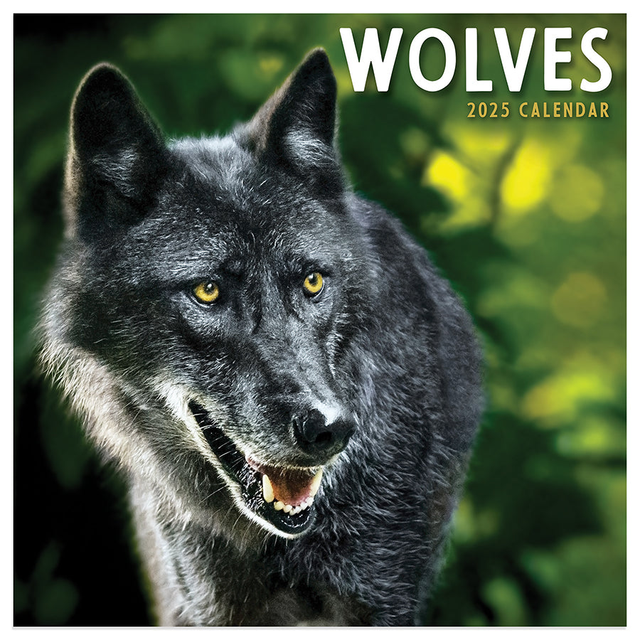 **FINAL SALE** 2025 Wolves Mini Calendar