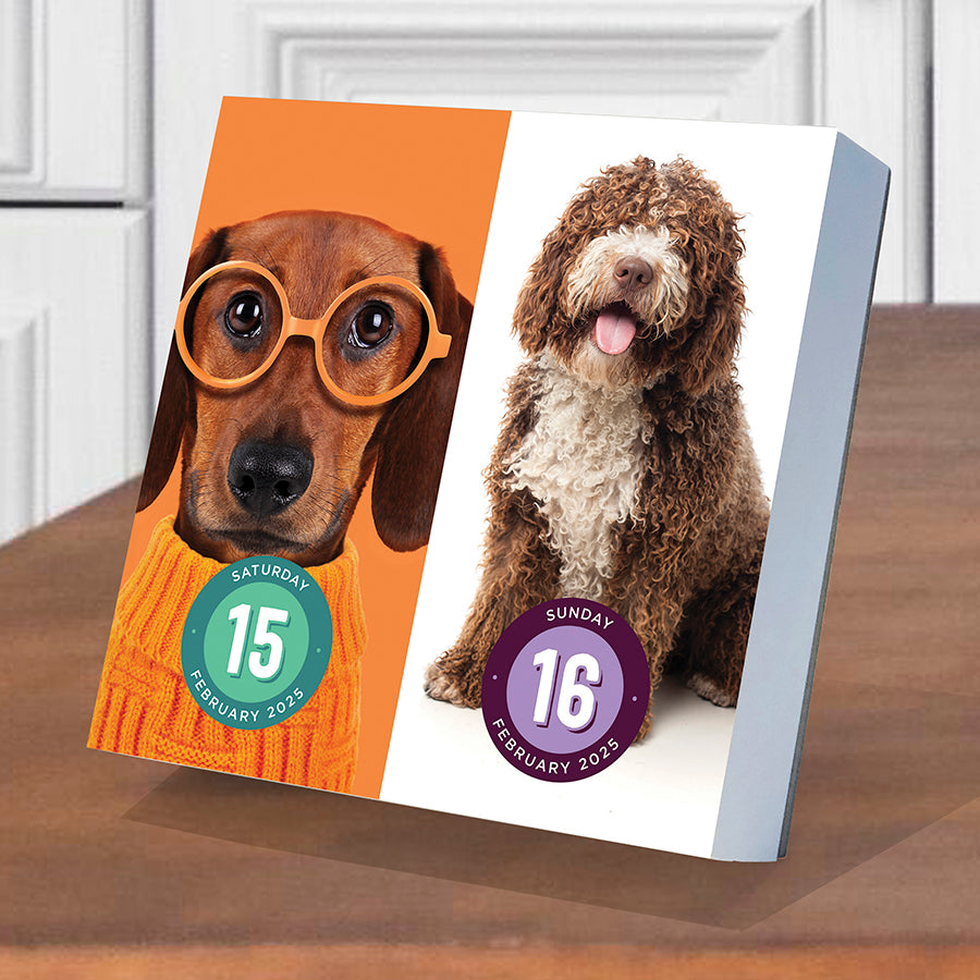 **FINAL SALE** 2025 Dog A Day Daily Desktop Calendar