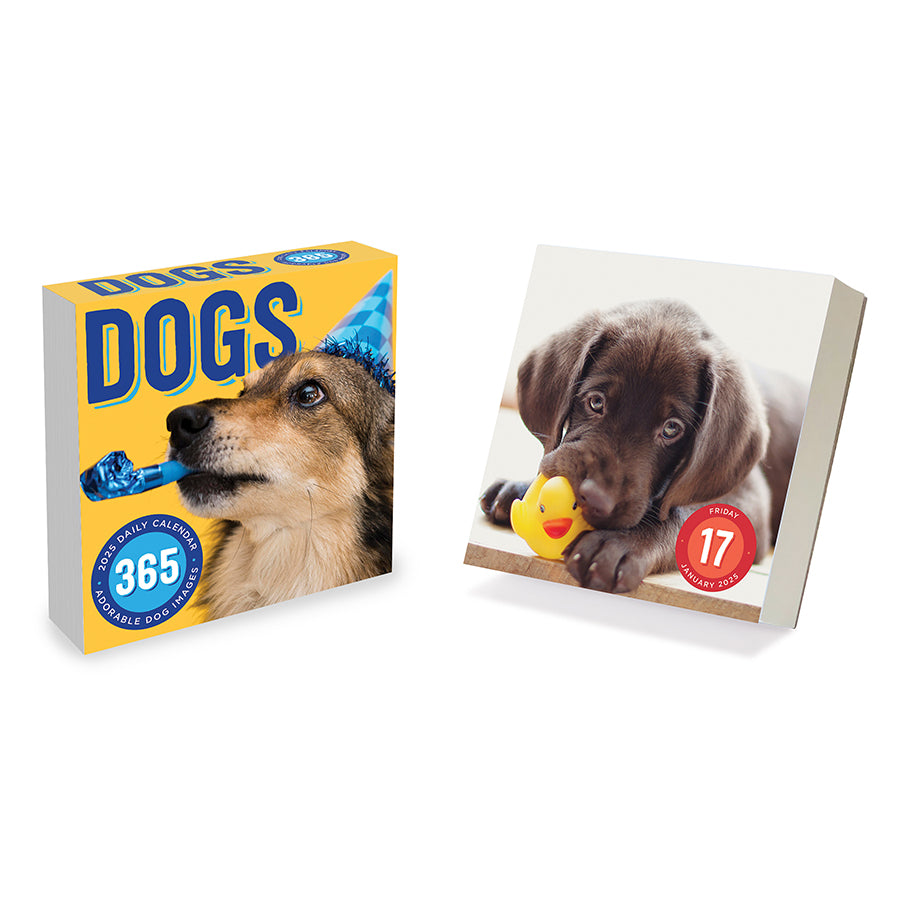 **FINAL SALE** 2025 Dog A Day Daily Desktop Calendar