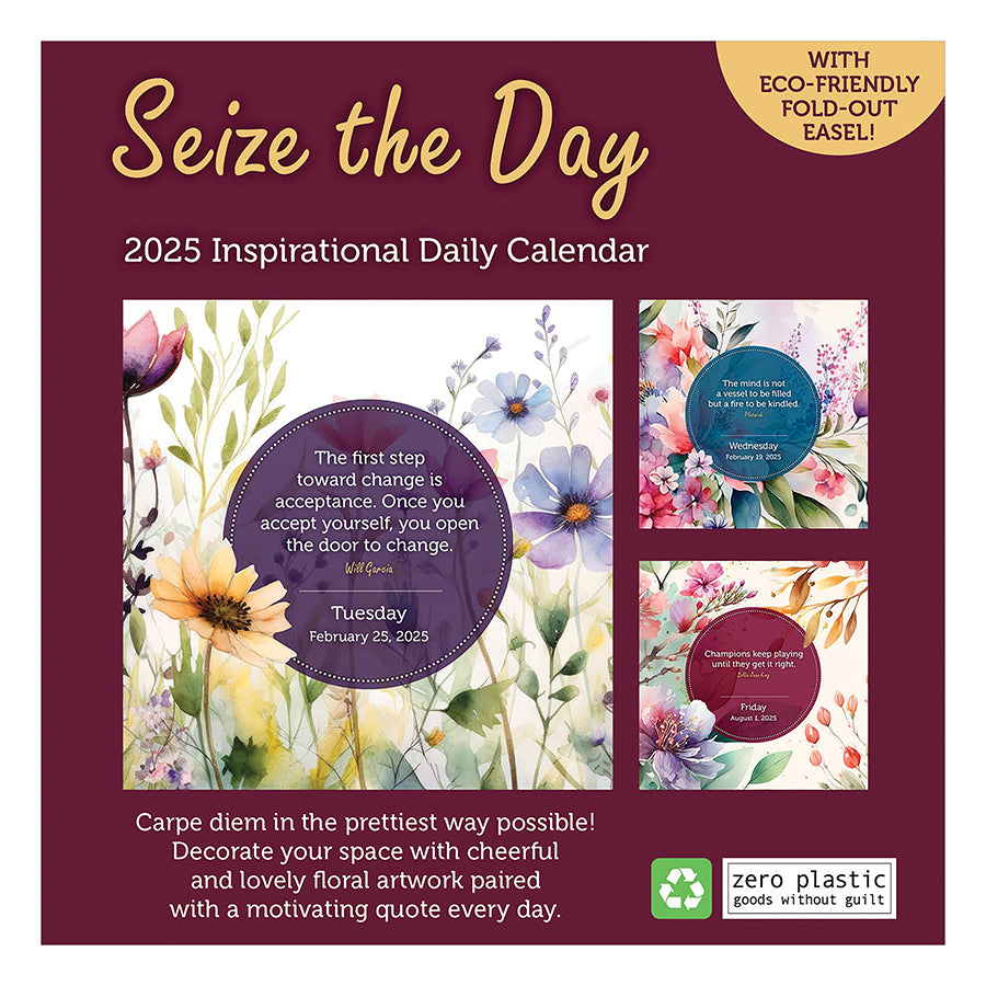 2025 Seize the Day Daily Desktop Calendar TF Publishing Calendars 2025 Seize the Day Daily Desktop Calendar TF Publishing Calendars