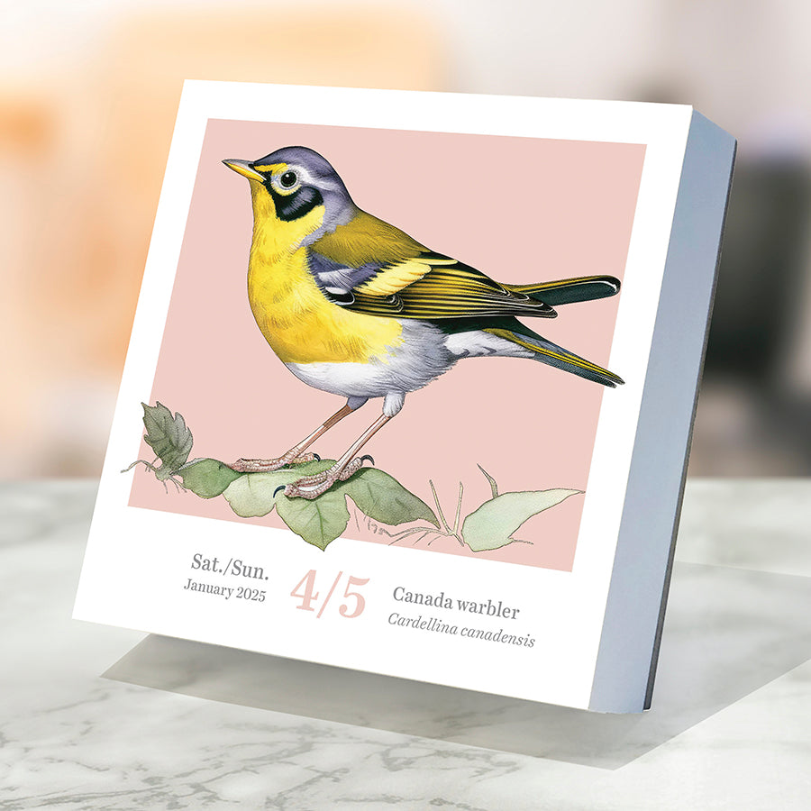 **FINAL SALE** 2025 Birds: Backyard & Beyond Daily Desktop Calendar