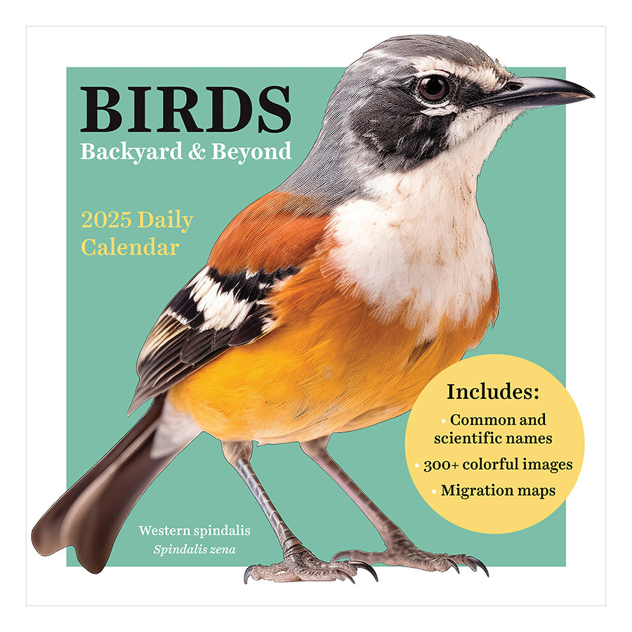 **FINAL SALE** 2025 Birds: Backyard & Beyond Daily Desktop Calendar