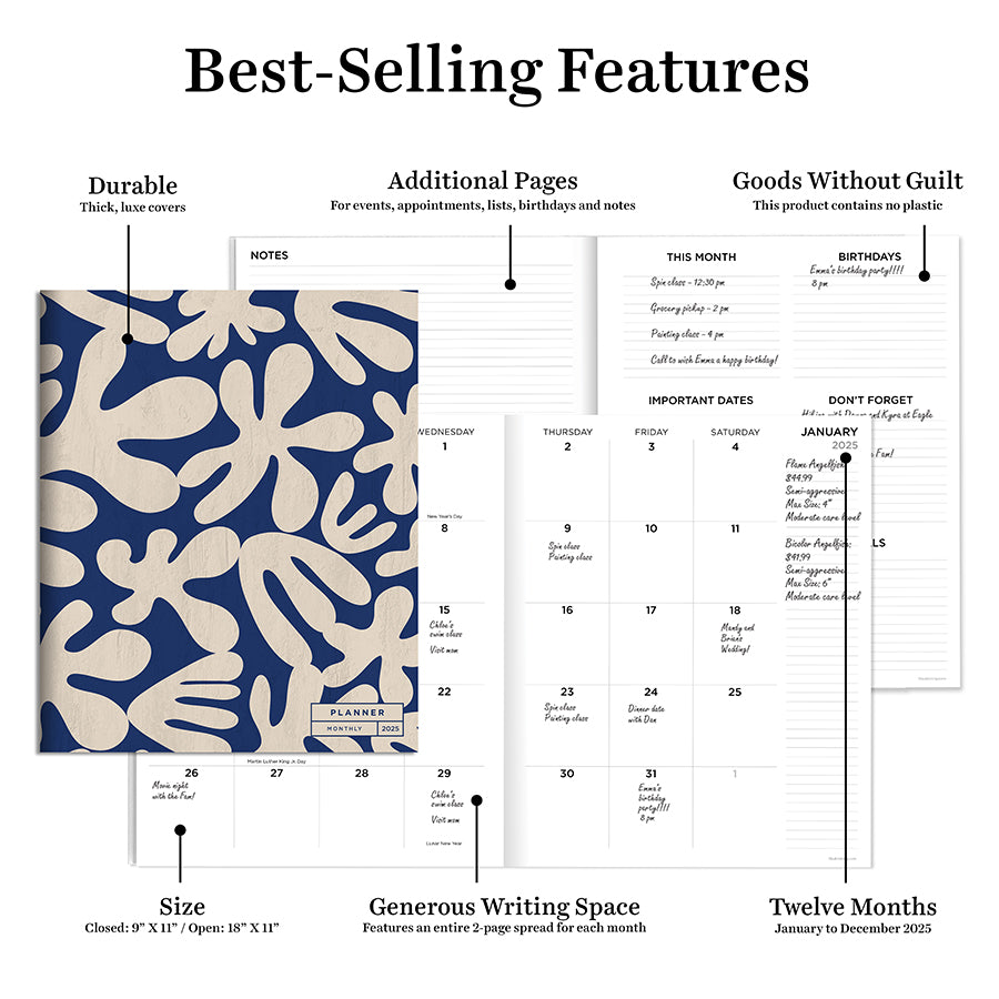 **FINAL SALE** 2025 Wacky and Wavy Large Monthly Planner