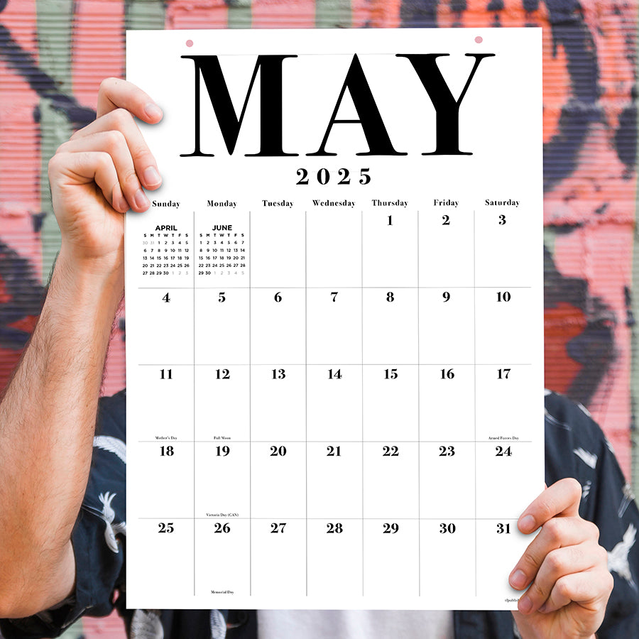 **FINAL SALE** 2025 Medium Art Poster Wall Calendar