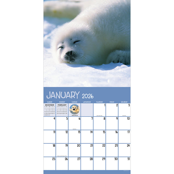 2026 Baby Animals Wall Calendar