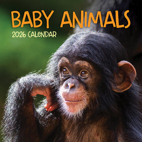 2026 Baby Animals Wall Calendar