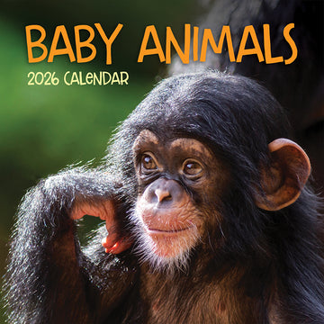 2026 Baby Animals Wall Calendar