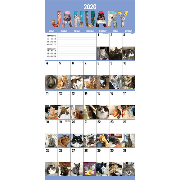 2026 Cat-A-Day Wall Calendar