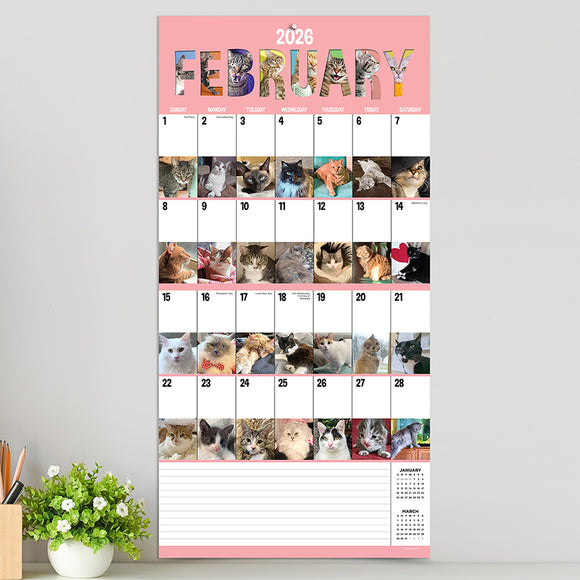 2026 Cat-A-Day Wall Calendar