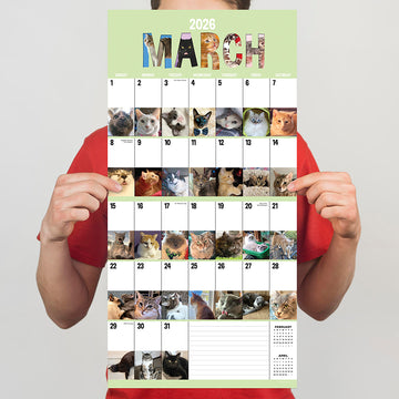 2026 Cat-A-Day Wall Calendar - 0