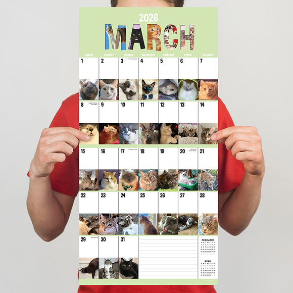 2026 Cat-A-Day Wall Calendar