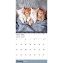 2026 Cat Dreams Wall Calendar-3