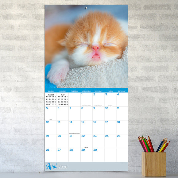 2026 Cat Dreams Wall Calendar