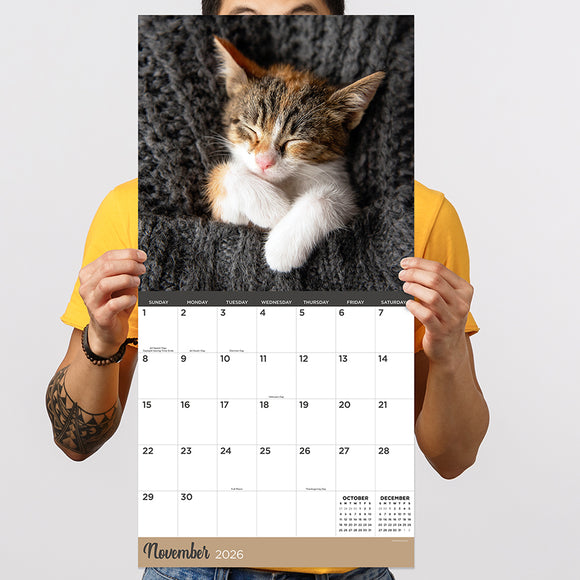 2026 Cat Dreams Wall Calendar