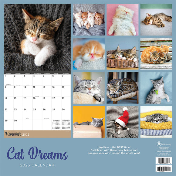 2026 Cat Dreams Wall Calendar