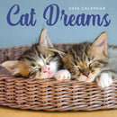 2026 Cat Dreams Wall Calendar-1