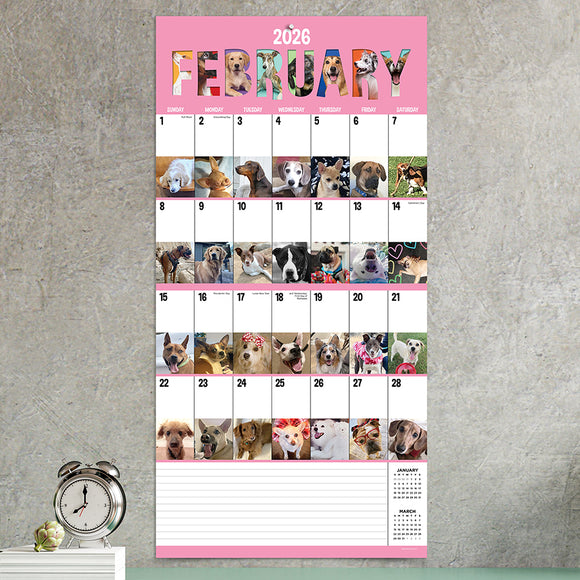 2026 Dog-A-Day Wall Calendar