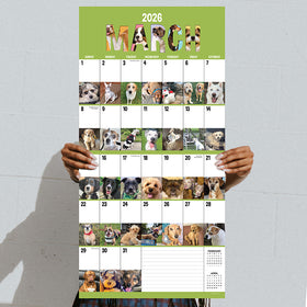 2026 Dog-A-Day Wall Calendar - 0
