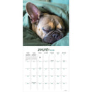 2026 Dog Dreams Wall Calendar-3