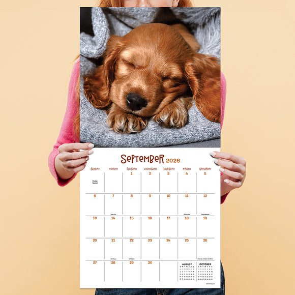 2026 Dog Dreams Wall Calendar