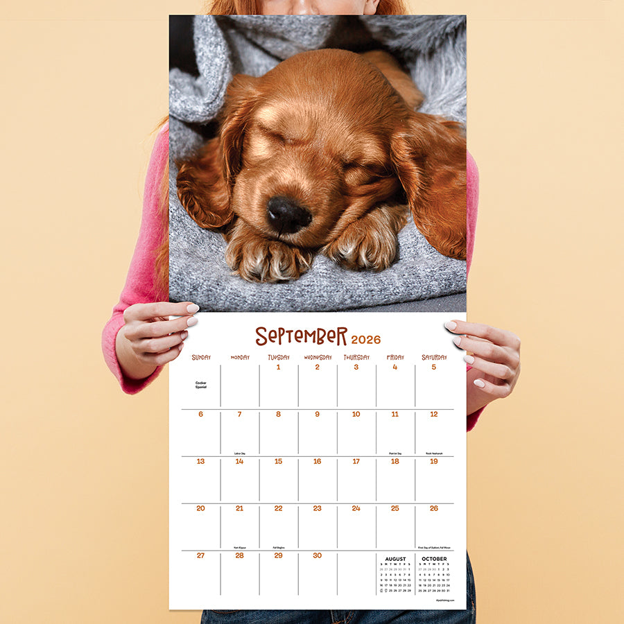 2026 Dog Dreams Wall Calendar - 0