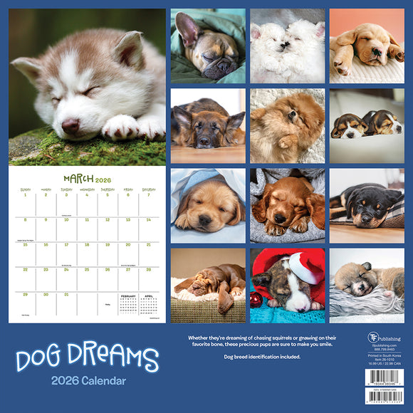 2026 Dog Dreams Wall Calendar