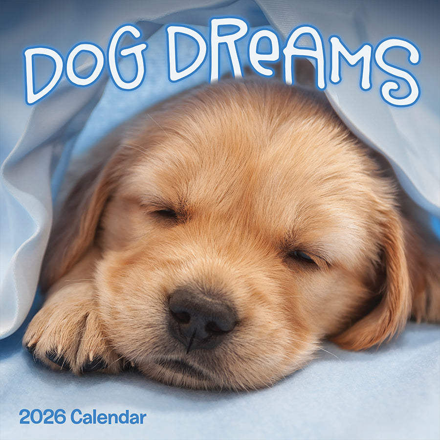 2026 Dog Dreams Wall Calendar TF Publishing Calendars Planners 2026-dog-dreams-wall-calendar-tf-publishing-calendars-planners