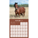 2026 Horses Wall Calendar-3