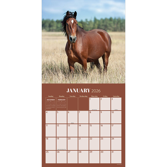 2026 Horses Wall Calendar