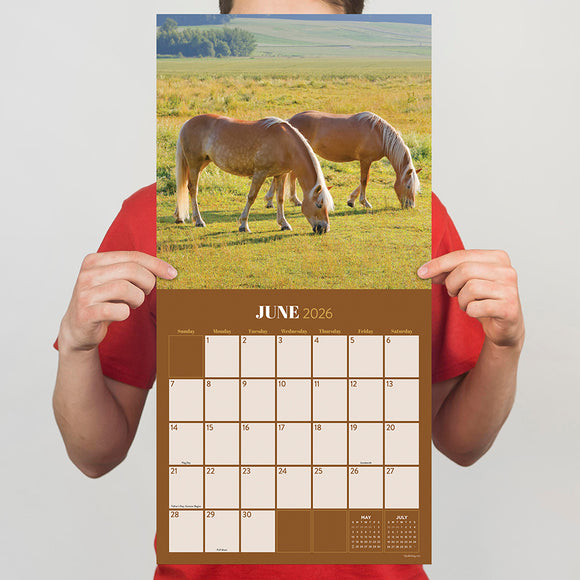 2026 Horses Wall Calendar