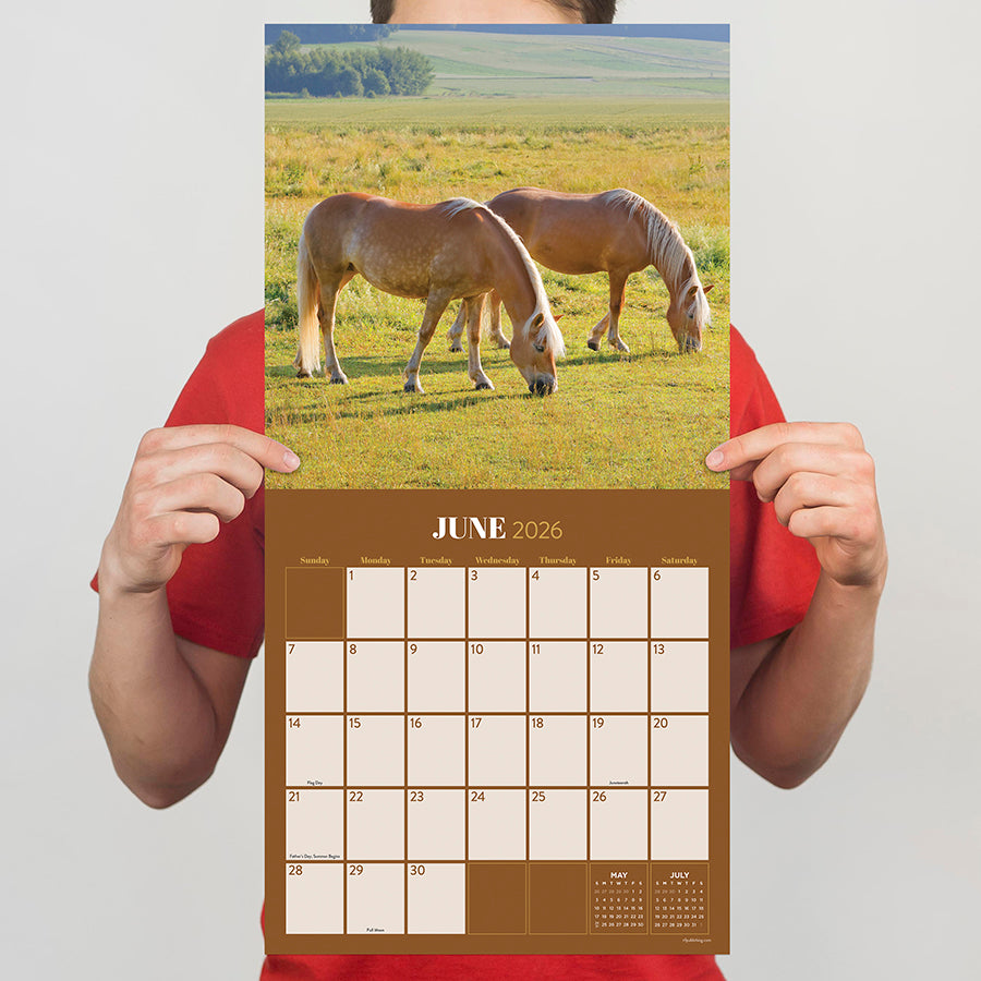 2026 Horses Wall Calendar - 0