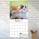 2026 Kittens Wall Calendar-4