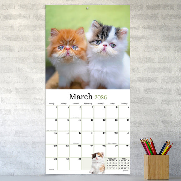 2026 Kittens Wall Calendar