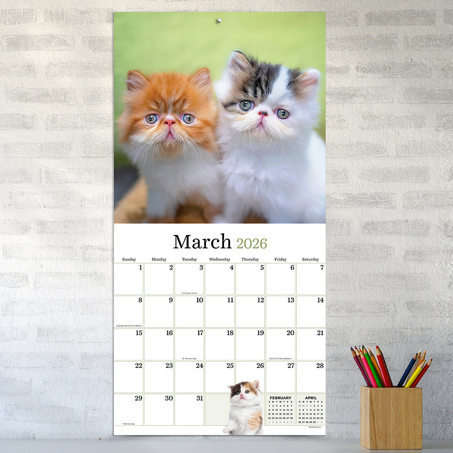 2026 Kittens Wall Calendar