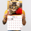 2026 Kittens Wall Calendar-2